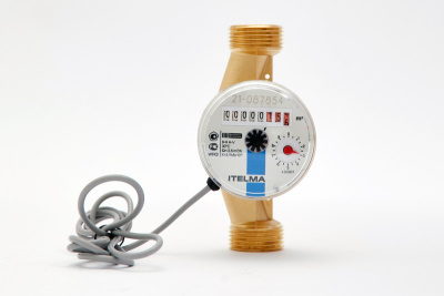 Счетчик горячей воды WFW24.E130-0-R-L-10-IP68 с импульсным выходом ГЕРКОН, ДУ20 в 