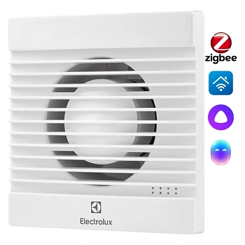 2026050805451950272.webp