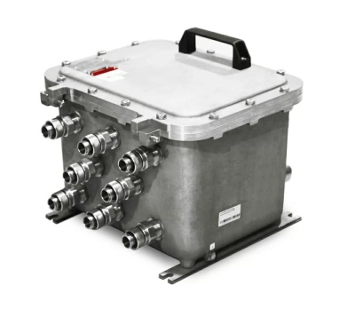 Взрывозащищенные коробки типа ЩОРВ-Н (CCFE/SS) (взрывонепроницаемые оболочки) из нержавеющей стали в 