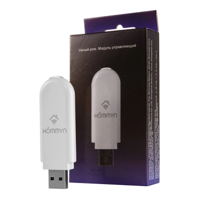 Сплит-система инверторного типа Electrolux Skandi DC EACS/I-07HSK/N3_24Y комплект с Wi-Fi донглом в 