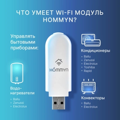 Сплит-система инверторного типа Electrolux Skandi DC EACS/I-09HSK/N3_24Y комплект с Wi-Fi донглом в 