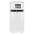 Кондиционер мобильный Electrolux Ice Column EACM-22 JK/N3 в 