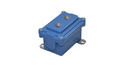 Взрывонепроницаемые оболочки LPS в 