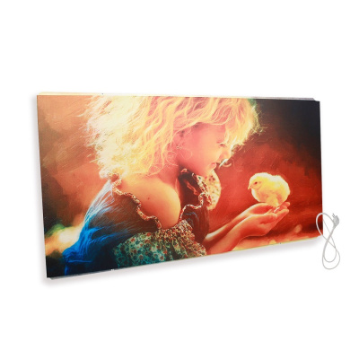 СТЕП-250/0,96 x 0,52 УФ-печать инфракрасный обогреватель в 