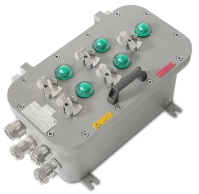 Взрывозащищенные щиты освещения типа ШГВ...-СВЕТ (CCFE-X-СВЕТ) в 