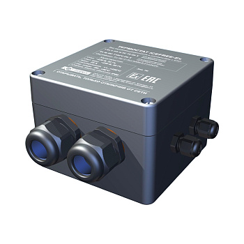 TERM ICEFREE Ex (k) промышленный термостат взрывозащищенный с выводом типа «сухой контакт» в 