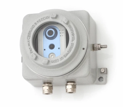 Взрывозащищенная IP камера для подключения к локальной сети ВНГ-2.../ЛС (CCA-VIDEOIP) в 