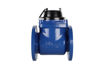 Счетчик воды Норма СТВ-65 ХИ в 