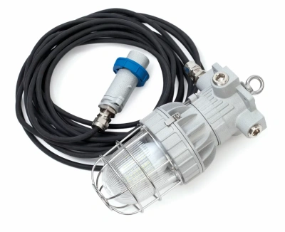 Взрывозащищенные светильники переносные серии СГР01 (EVGC-P12 / EVGC-P24) в 