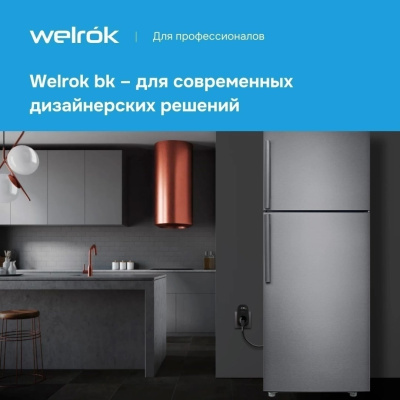 Welrok PR bk реле напряжения в 