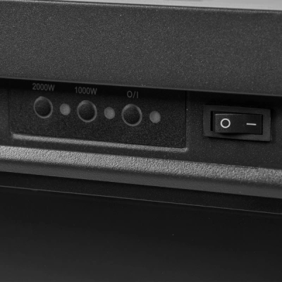 Очаг электрический Electrolux EFP/P-2520LS N в 