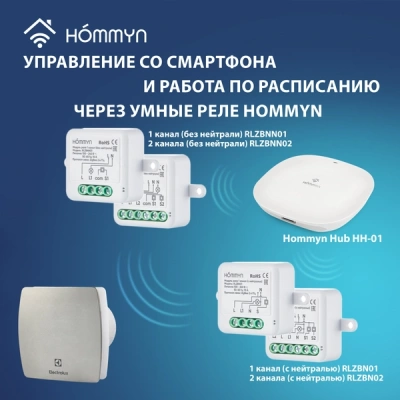 Вентилятор вытяжной серии Argentum EAFA-100 в 