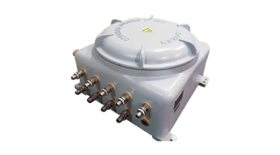 Взрывонепроницаемая оболочка «D»(УУМ ВО) в 