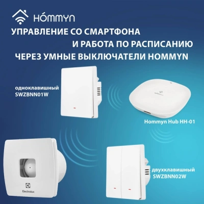 Вытяжной вентилятор EAF-120 в 