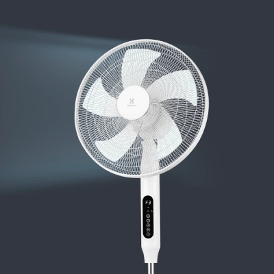 Вентилятор напольный Electrolux EFF-1020i в 
