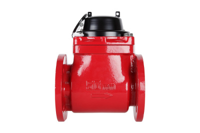 Счетчик воды Норма СТВ-50 ГИ в 