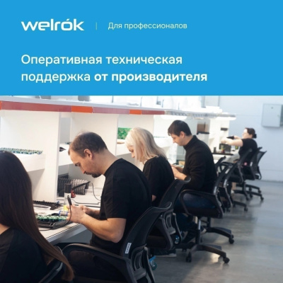 Welrok PR bk реле напряжения в 
