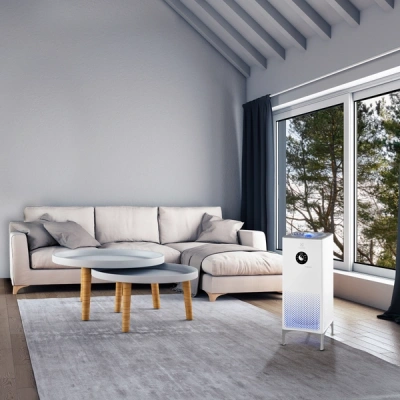 Очиститель воздуха Electrolux EAP-2050D Yin&Yang в 