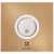 Вентилятор вытяжной серии Rainbow EAFR-120 beige в 