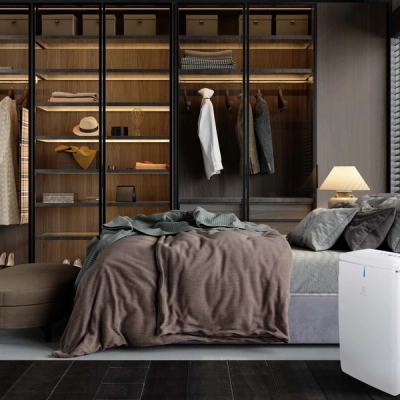 Осушитель воздуха Electrolux EDH-20L в 