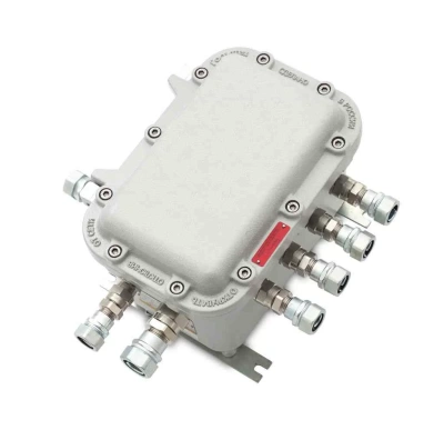 Взрывозащищенные коробки типа ЩОРВ (CCFE) (взрывонепроницаемые оболочки) из алюминиево-кремниевого сплава в 