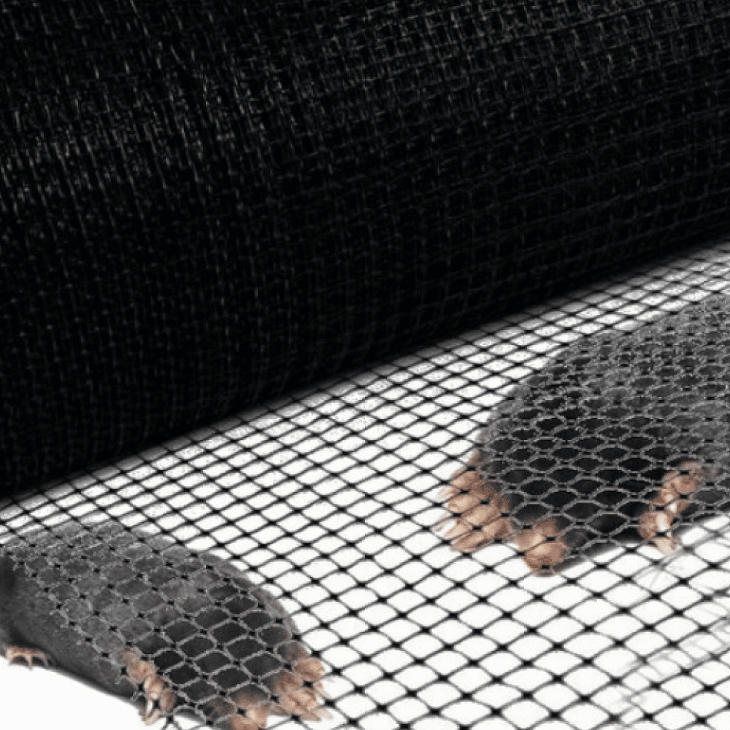 Сетка от кротов Alfasetka 0,95х20
