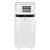 Кондиционер мобильный Electrolux Ice Column EACM-20 JK/N3 в 